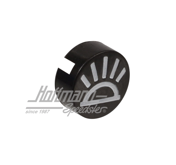 Symbol insert, switch, interior lamp                                                                