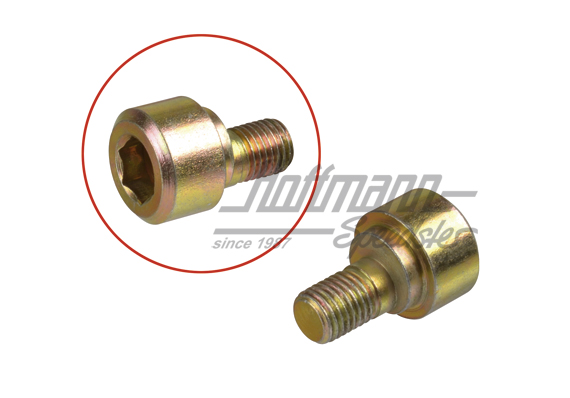 Eccentric screw, rear axle, 65-73                                                                   