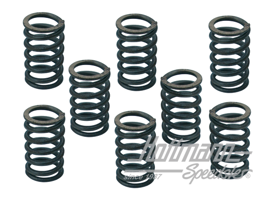 Valve springs, special                                                                              