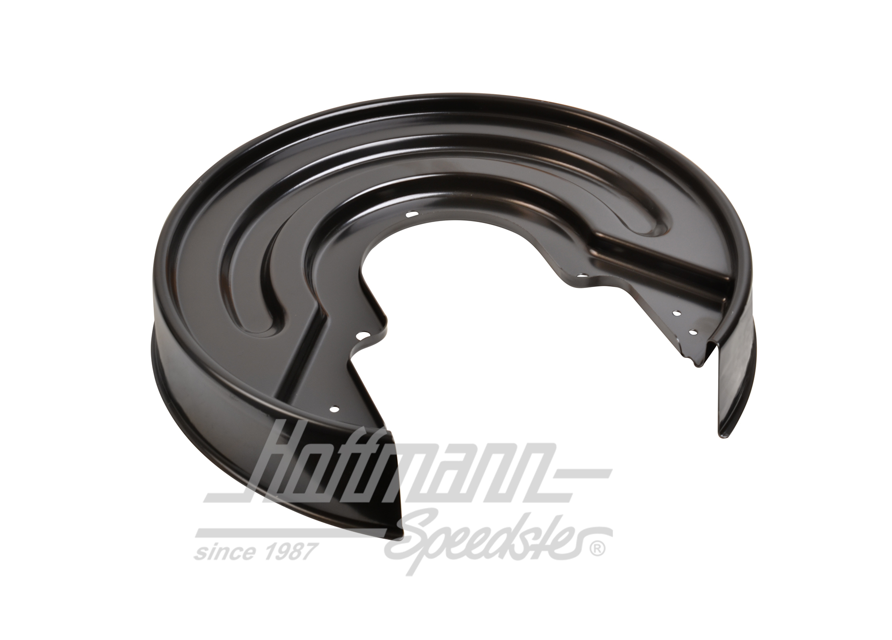 Splash shield, disc brake, rear, 294mm                                                              