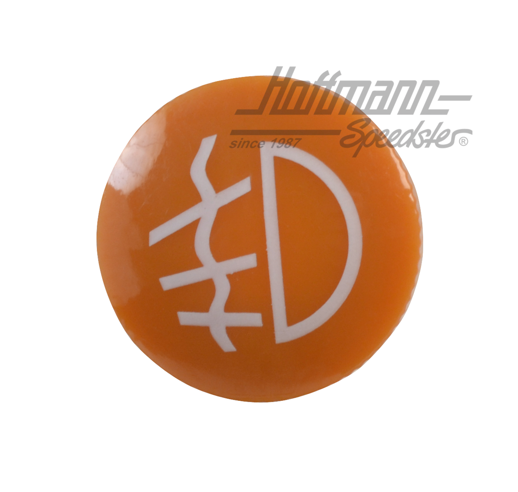 Symbol insert, fog light switch                                                                     