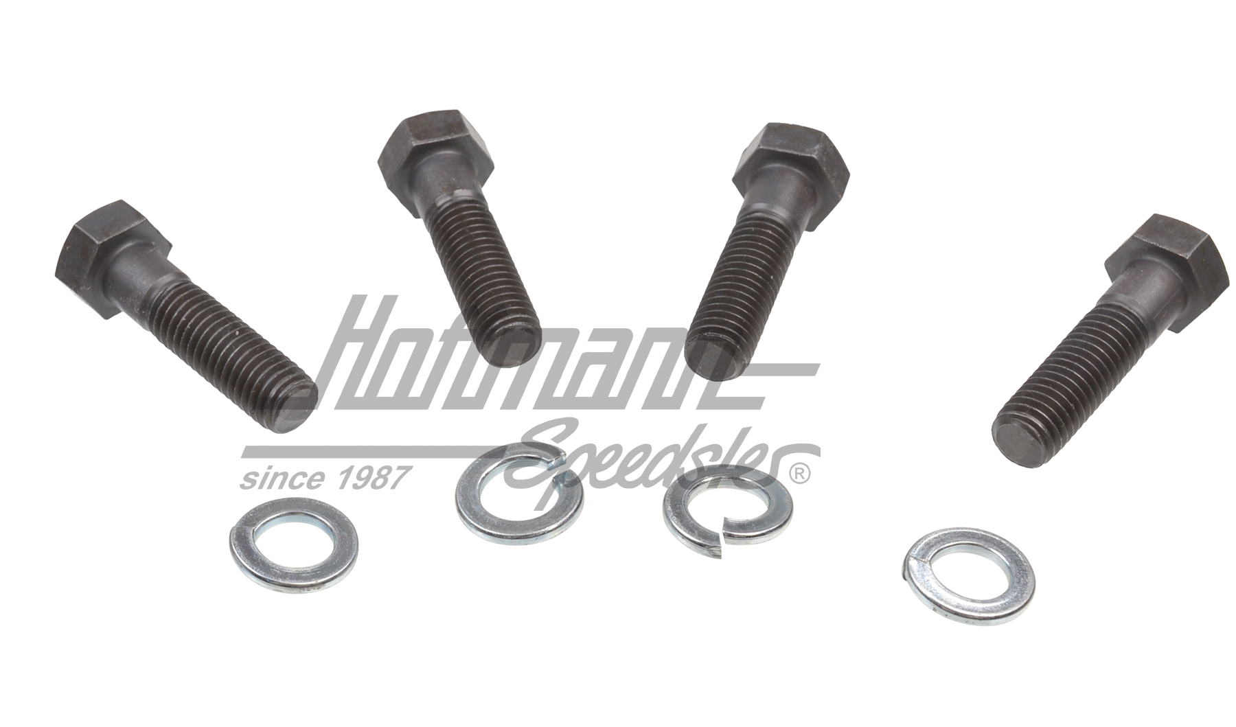 Screw set, torsion bar covers, M10x38 | N  010 201 | 020-0701-10
