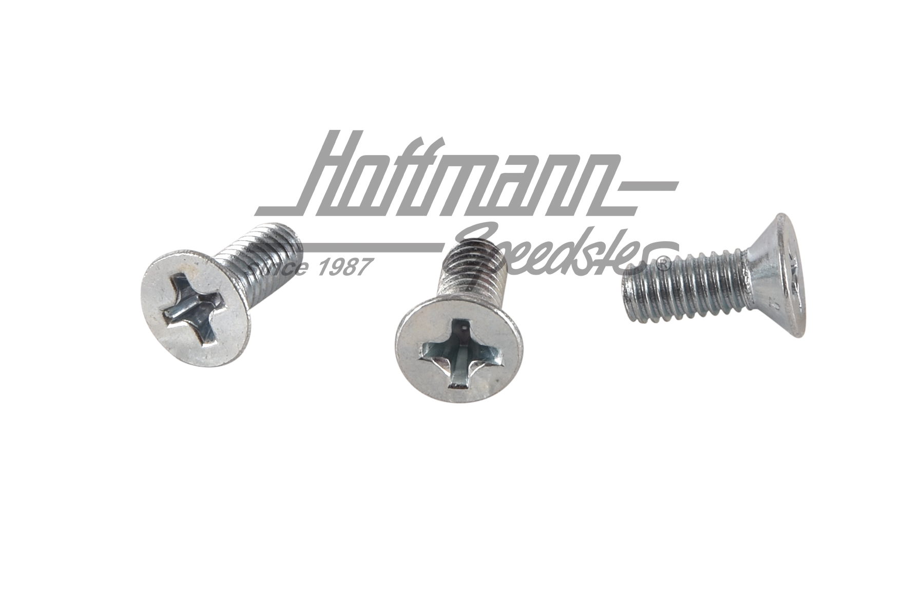 Screws, adjuster, pop-out window, Bus T1 (3 pieces) | N  014 255 1 | 089-3840-43
