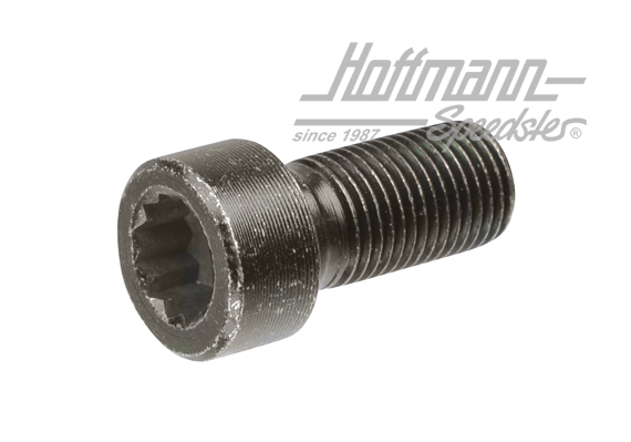 Screw, flywheel, M12x1,25x25.5mm | 911 102 171 00 | 530-0450-10