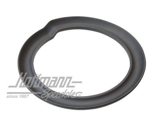 Support/damping ring, suspension spring                                                             