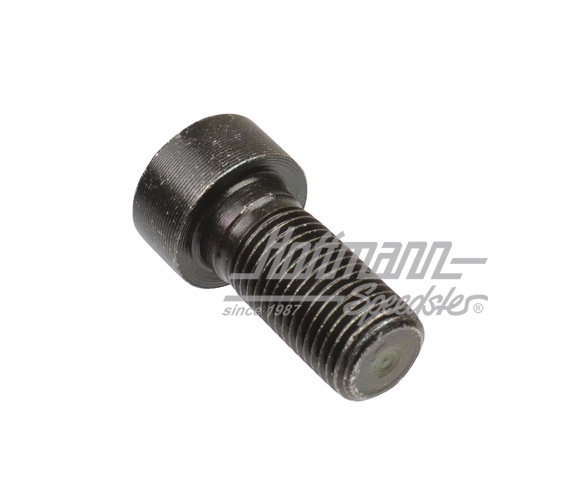 Screw, flywheel, M12x1,25x25.5mm                                                                    