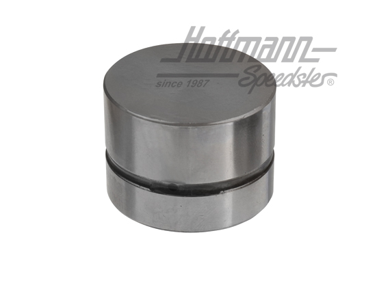 Valve lifter (hydraulic valve lifter), 1.6-1.8 | 034 109 309 AD | 110-1100