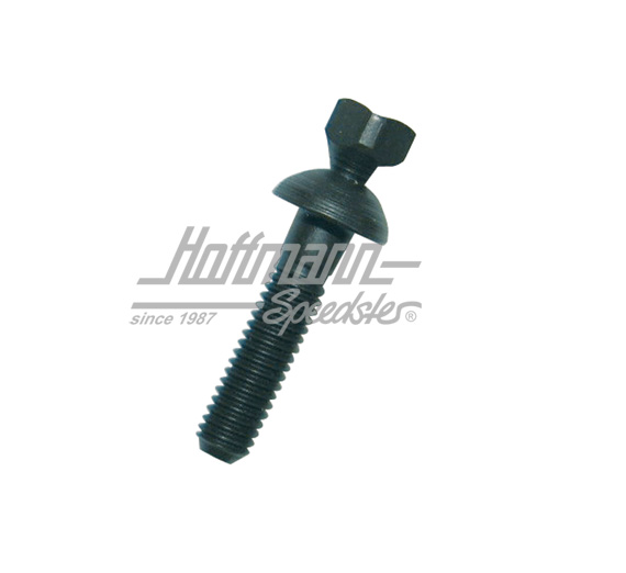 Breakaway screw, steering lock, 36/30mm | 111 905 881 | 020-2425-06