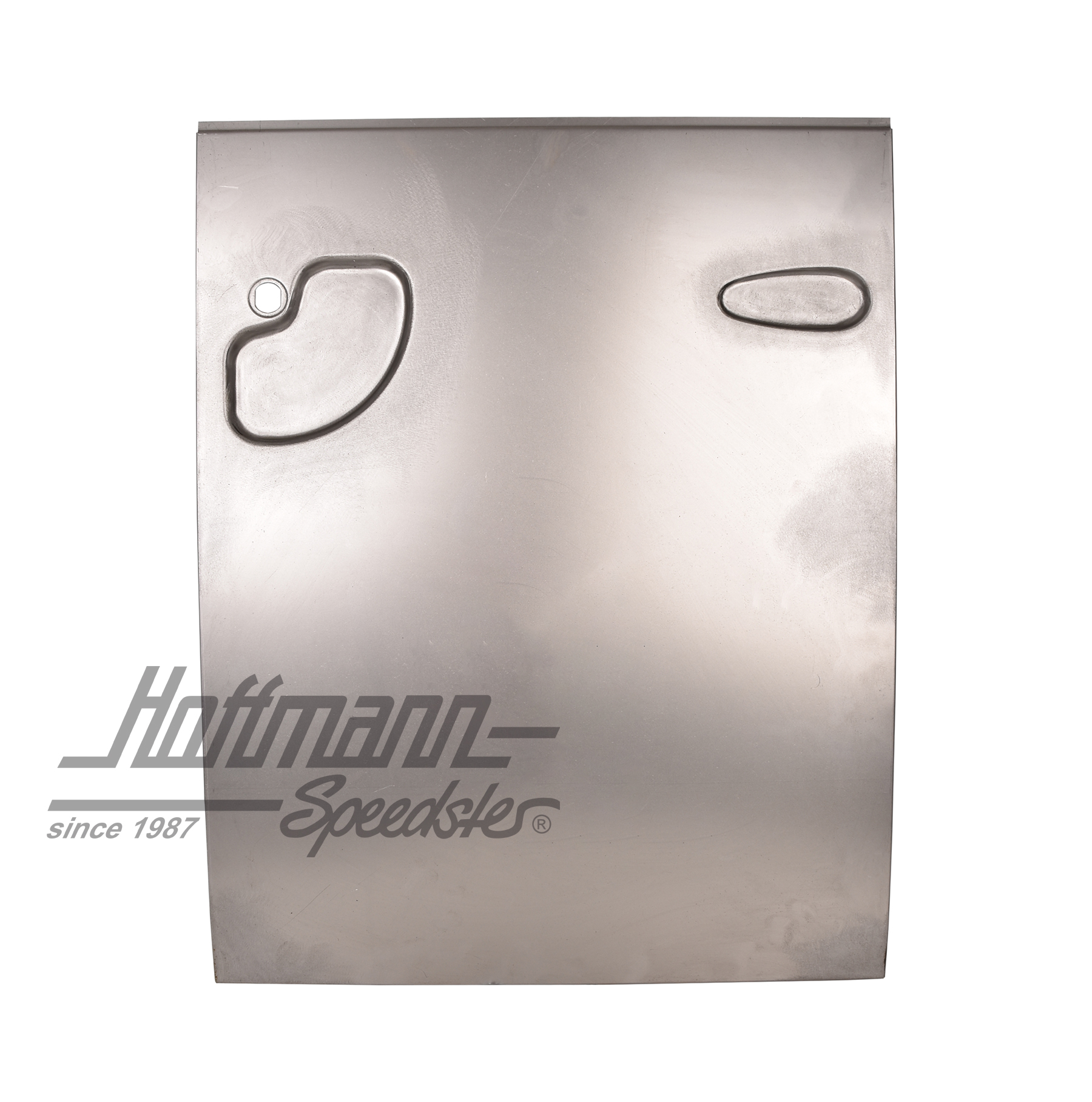 Hinged door, outer skin, 8.63-7.67, right | 211 841 081 F | 095-0552-32