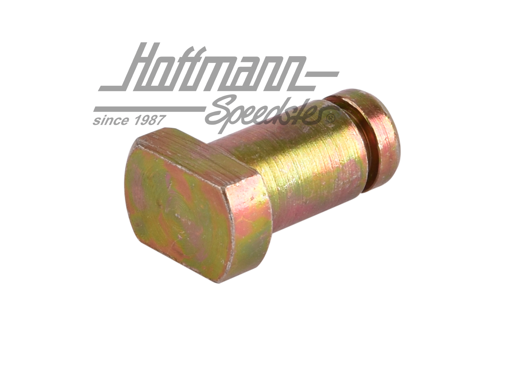Bolt, tailgate hinge, short                                                                         