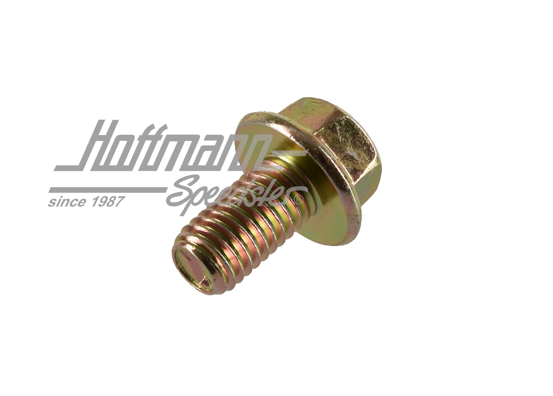 Screw, door hinge, Golf 2                                                                           